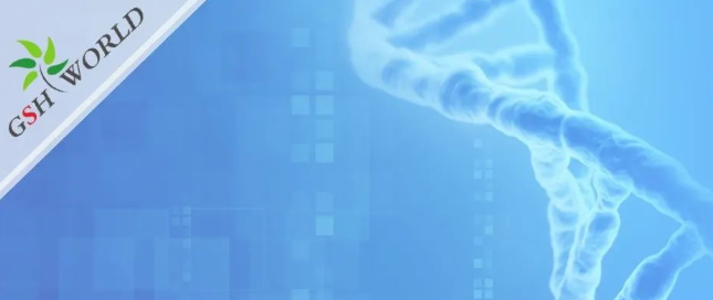 煙酰胺和nmn區(qū)別？煙酰胺單核苷酸(NMN) 的化合物