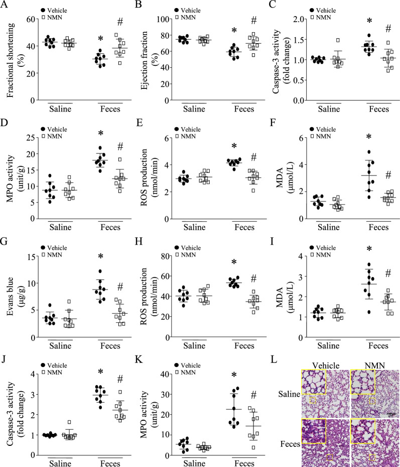 包含圖片、插圖等的外部文件。
對(duì)象名稱為 12967_2023_4767_Fig2_HTML.jpg