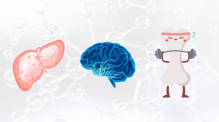 或可改善肝功能指標(biāo)