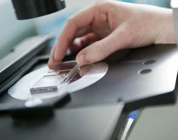 SAMe或成慢性結(jié)腸炎新希望？