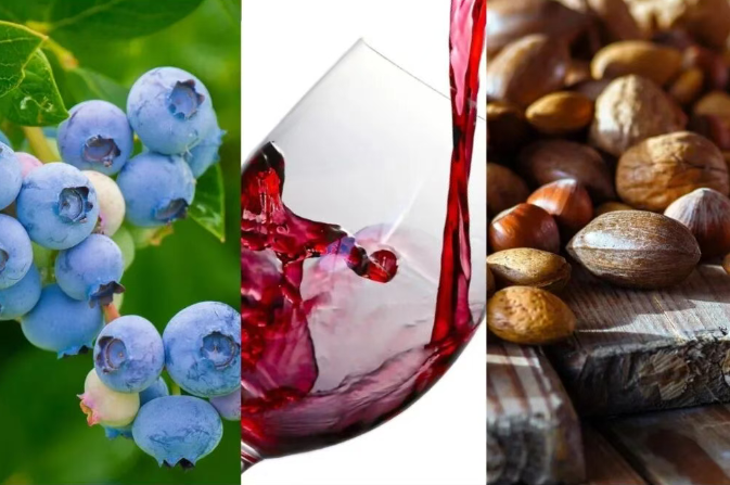 普通促智食物:以間接作用為主的溫和保護(hù)路徑 普通促智食物:以間接作用為主的溫和保護(hù)路徑