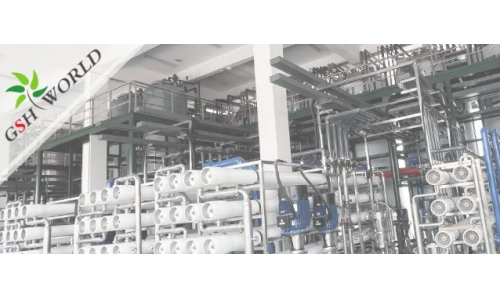 企業(yè)動態(tài) - 安慶市區(qū)領導對古特生物的生產發(fā)展給予充分肯定