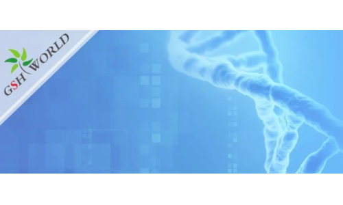 煙酰胺和nmn區(qū)別？煙酰胺單核苷酸(NMN) 的化合物