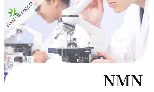 行業(yè)關(guān)注 - 最新研究長(zhǎng)期補(bǔ)充N(xiāo)MN可改善血管健康