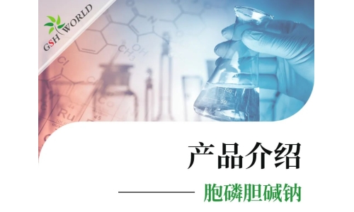 產(chǎn)品介紹 - 胞磷膽堿鈉——被廣泛應(yīng)用的神經(jīng)保護(hù)劑