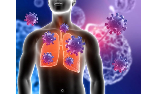 鐘南山：6月底將迎來二陽高峰！危害更大？NMN能有效抵御“二陽”！