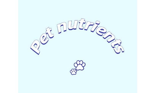 三種具有潛力的寵物營養(yǎng)素——PQQ、輔酶Q10以及S-腺苷甲硫氨酸