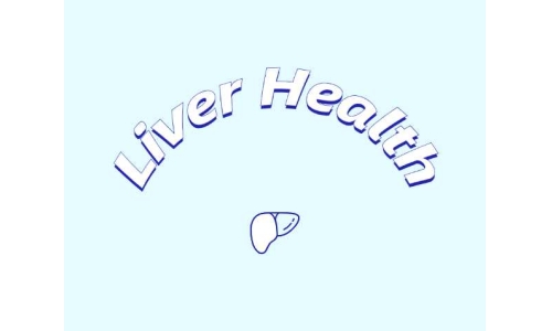 哪些原料可助力肝臟健康？